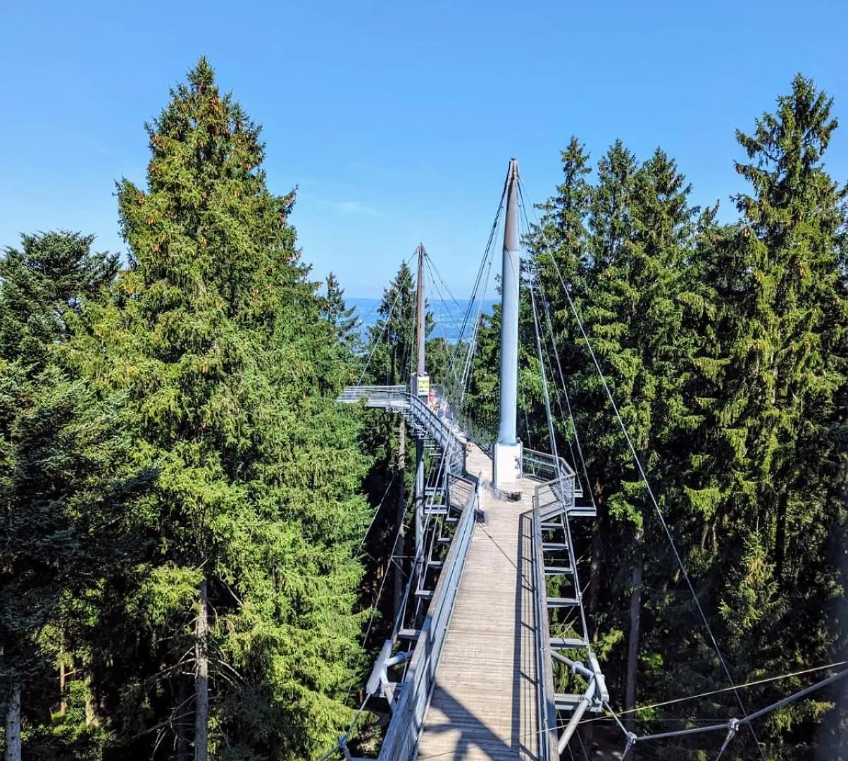 Ferienwohnung Bergwolke Mit Pool & Sauna Scheidegg Apartment